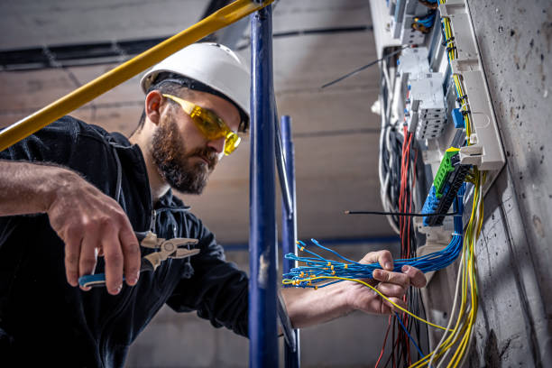 Best Electrical Troubleshooting Services  in Twin Grove, IL