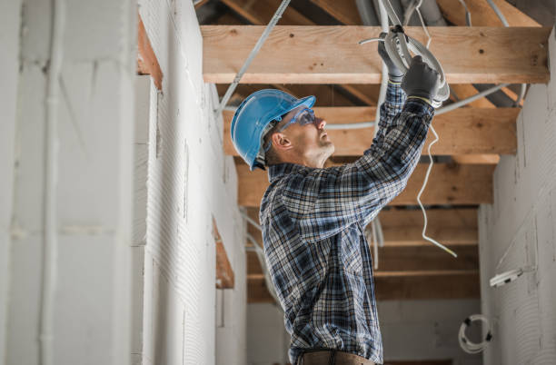 Best Electrical Upgrades for Homes  in Twin Grove, IL