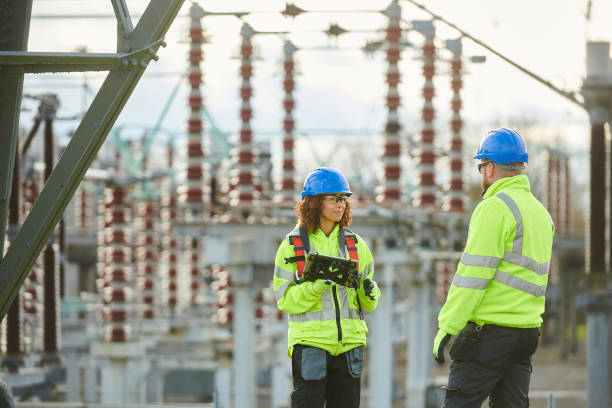 Best Affordable Electrician  in Twin Grove, IL