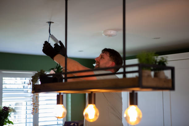 Best Outdoor Lighting Installation  in Twin Grove, IL