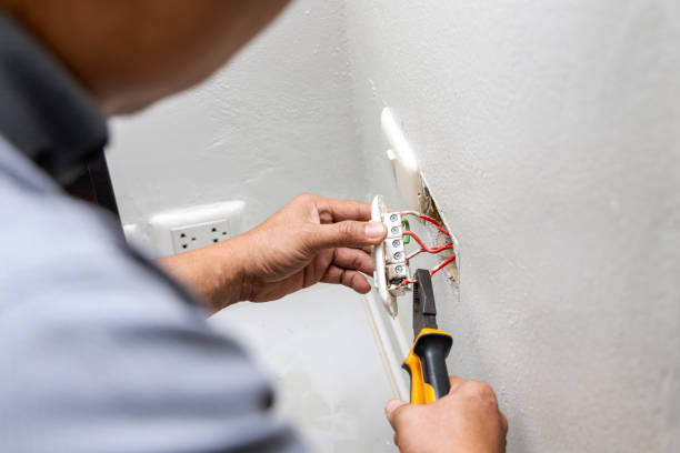 Best Electric Panel Repair  in Twin Grove, IL