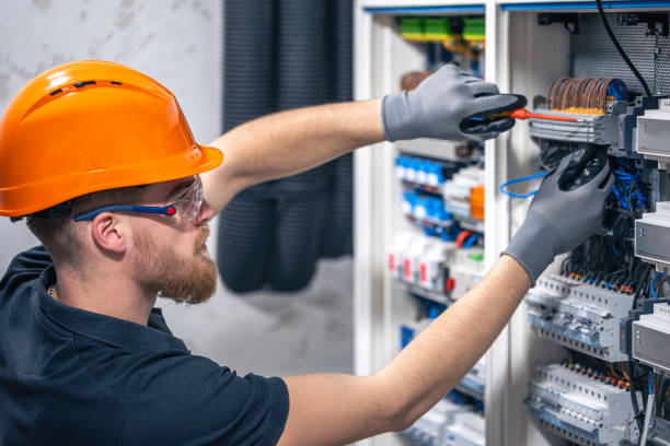 Best Electrical Upgrades for Homes  in Twin Grove, IL